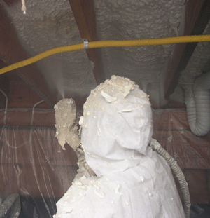 Augusta GA crawl space insulation