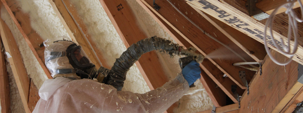 Augusta Georgia Attic Insulation Spray Foam